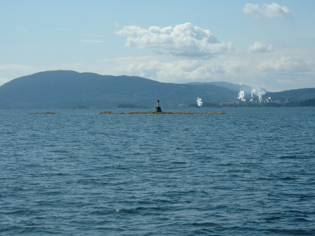 Escape Reef