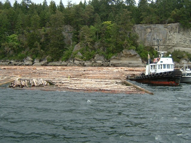 Logboom
