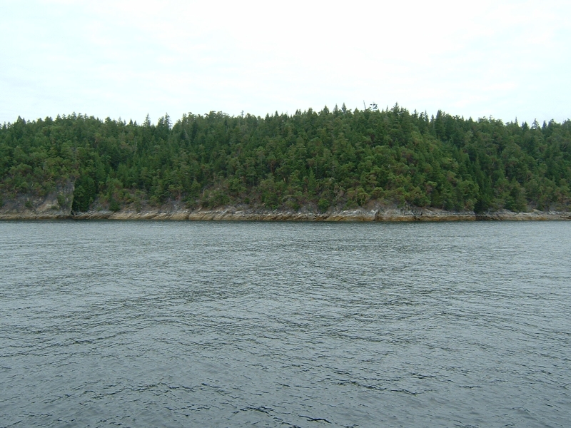 Mink South
